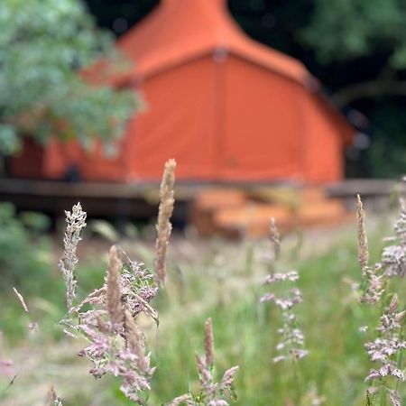 Rode Bell Achter Duin Hotel 't Horntje Exterior foto