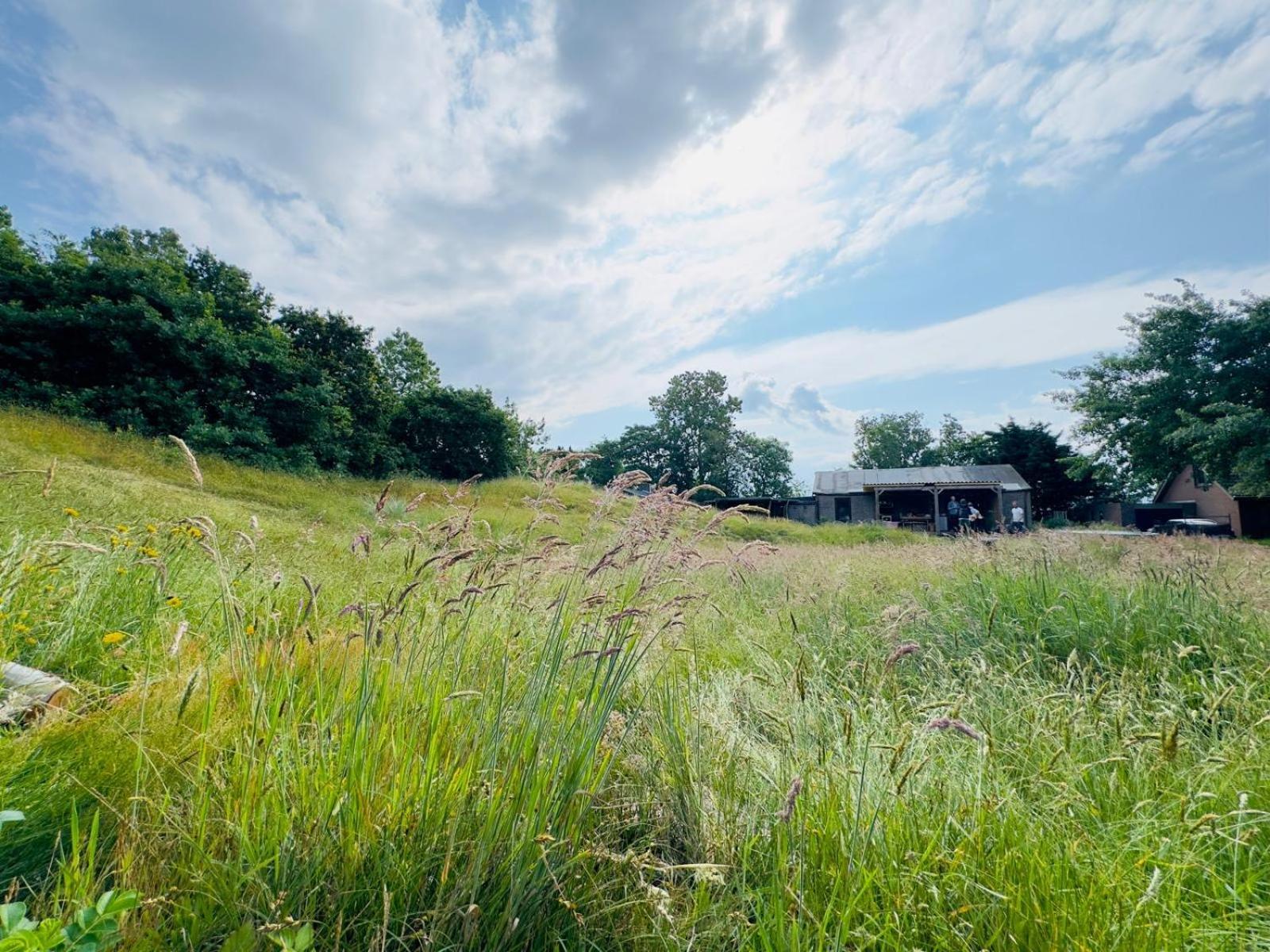 Rode Bell Achter Duin Hotel 't Horntje Exterior foto